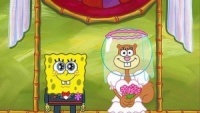 124 bob esponja.jpg